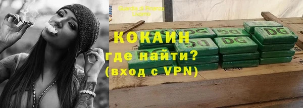 спайс Арсеньев
