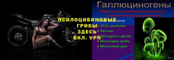 спайс Арсеньев